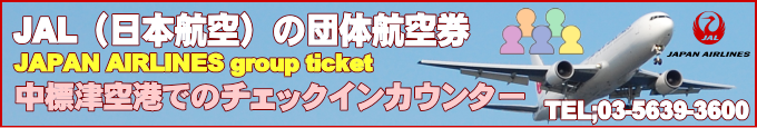 JAL国内線が運航する中標津空港情報