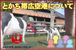 とかち帯広空港について。チェックインカウンターと交通アクセス