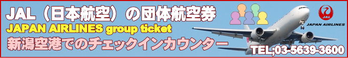 JAL国内線が運航する新潟空港情報