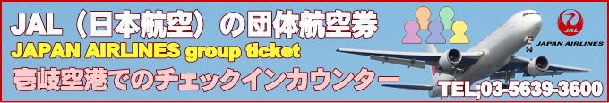 JAL国内線が運航する壱岐空港情報