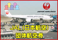 JAL団体航空券