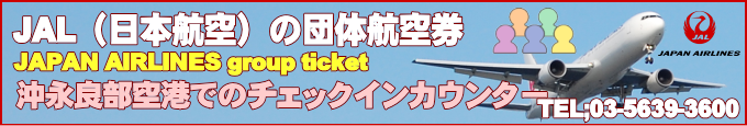 JAL国内線が運航する沖永良部空港情報