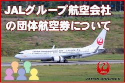JAL�O���[�v�q���Ђ̒c�̍q�󌔂ɂ���